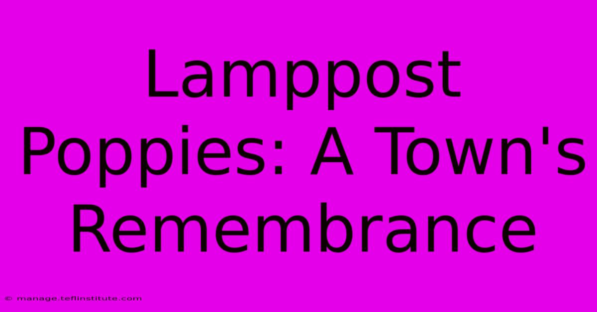 Lamppost Poppies: A Town's Remembrance 