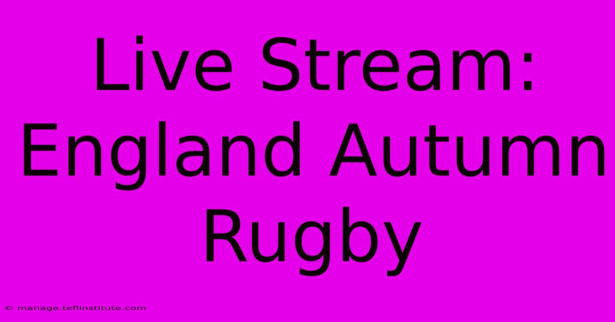 Live Stream: England Autumn Rugby