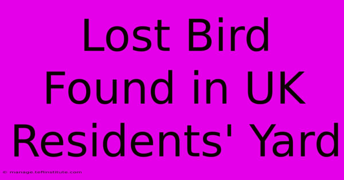 Lost Bird Found In UK Residents' Yard