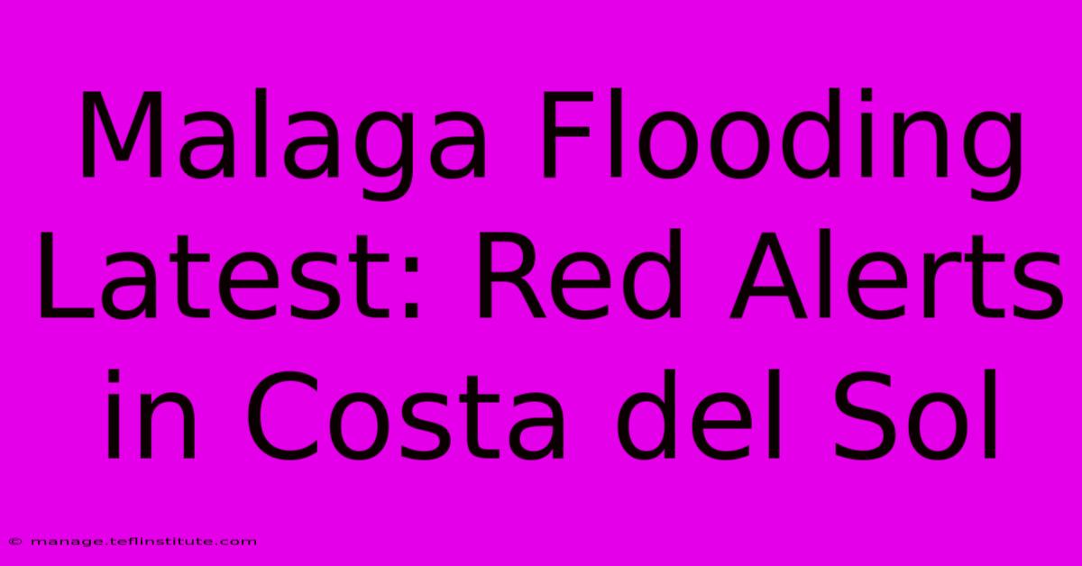 Malaga Flooding Latest: Red Alerts In Costa Del Sol