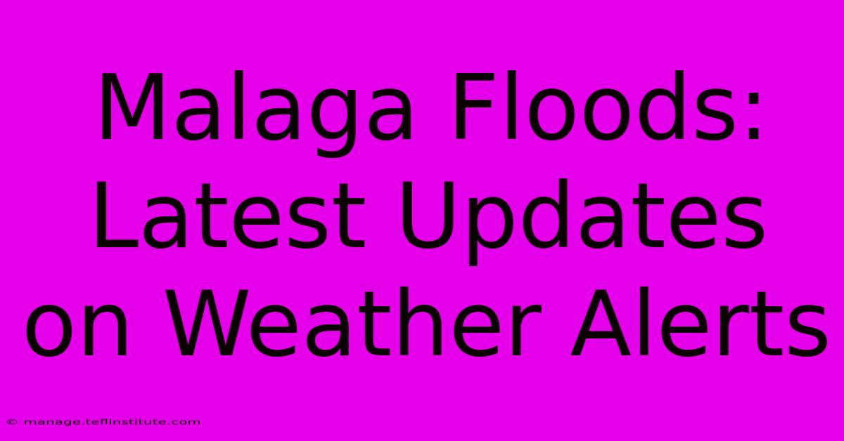 Malaga Floods: Latest Updates On Weather Alerts