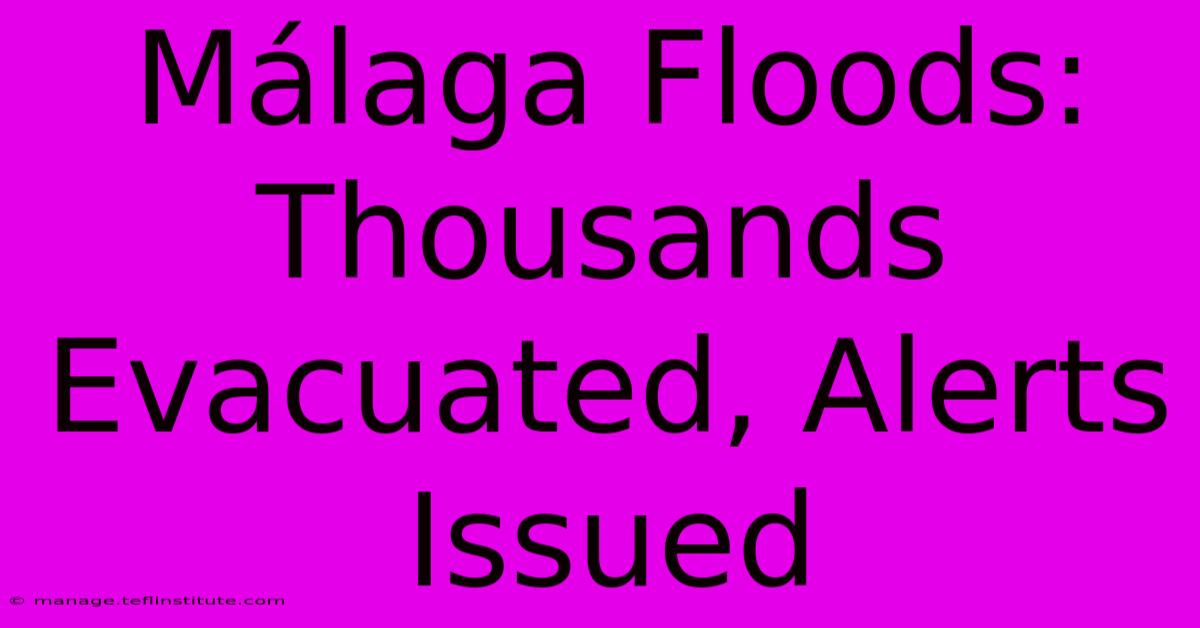 Málaga Floods: Thousands Evacuated, Alerts Issued