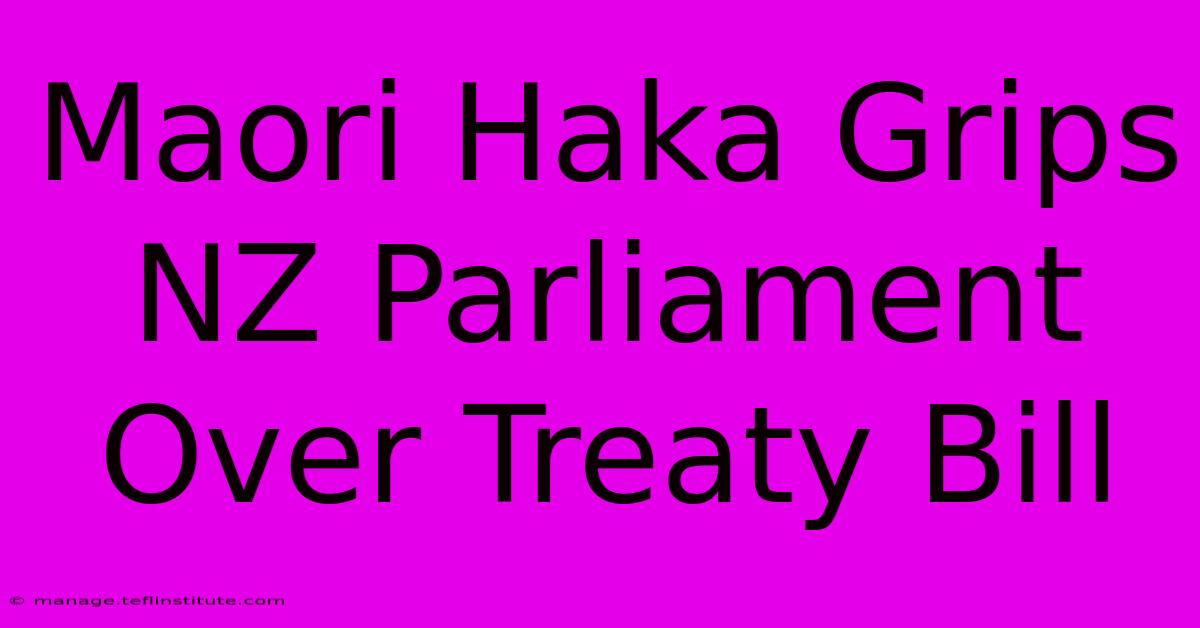 Maori Haka Grips NZ Parliament Over Treaty Bill