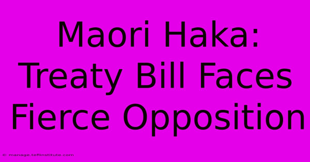 Maori Haka: Treaty Bill Faces Fierce Opposition