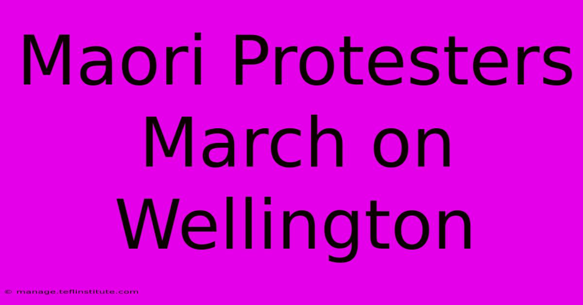 Maori Protesters March On Wellington