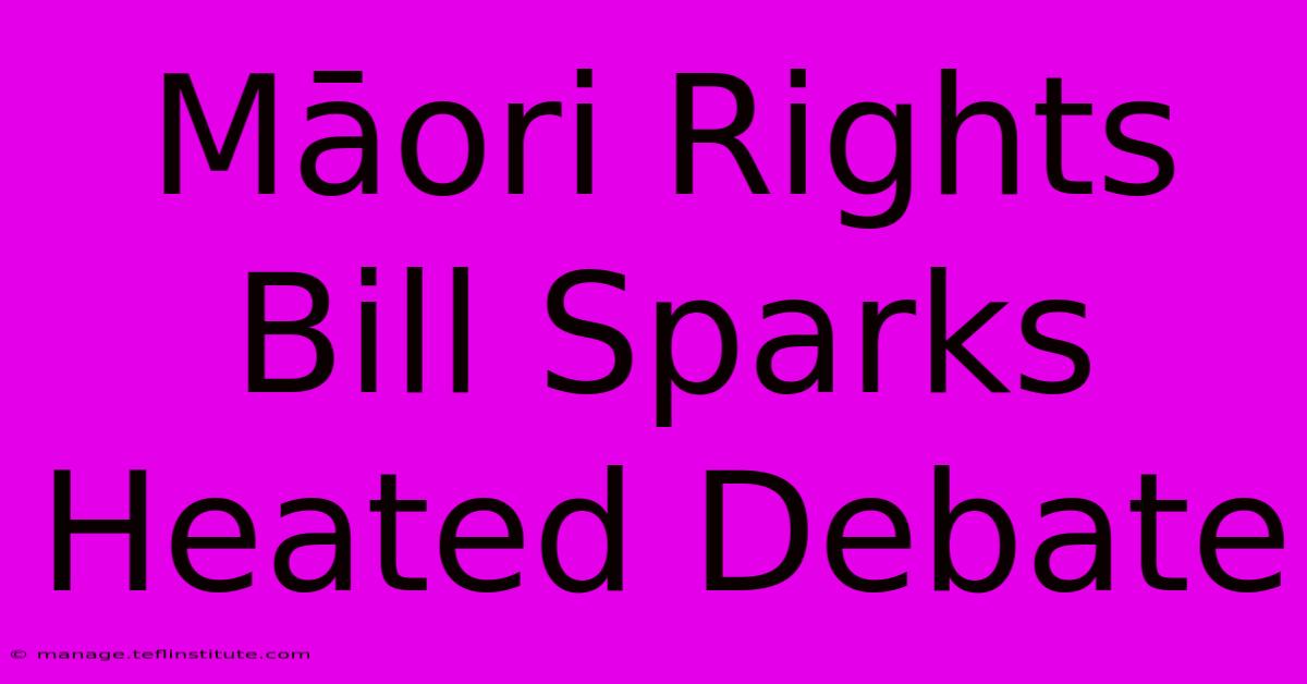 Māori Rights Bill Sparks Heated Debate