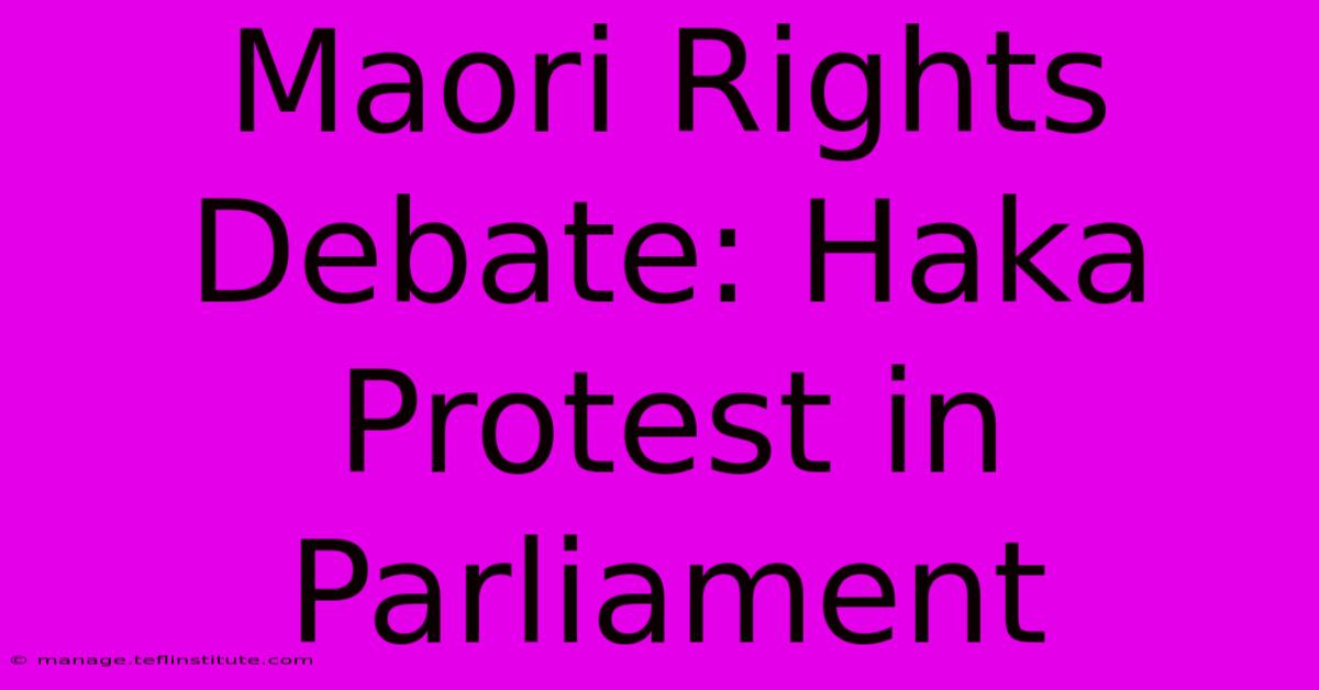 Maori Rights Debate: Haka Protest In Parliament 