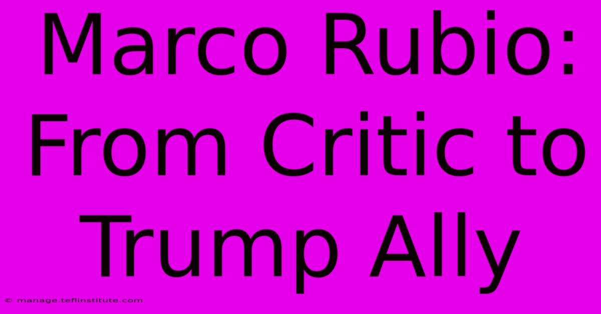 Marco Rubio: From Critic To Trump Ally