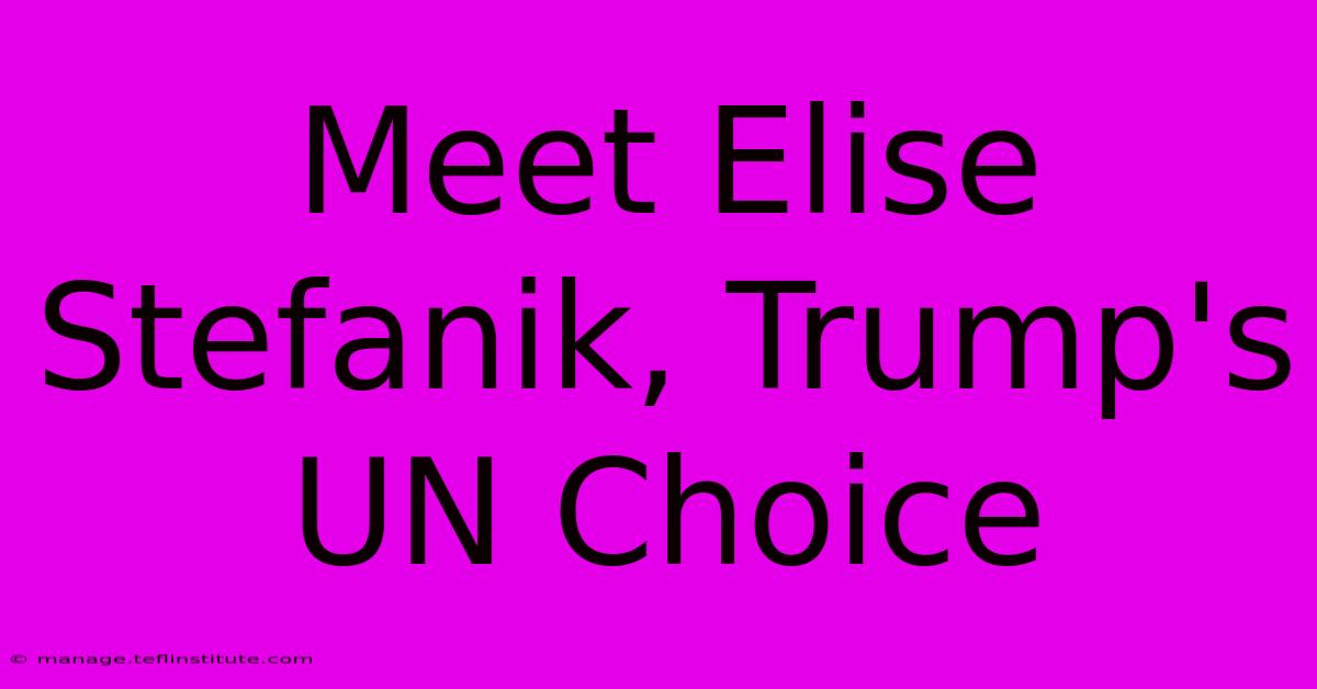 Meet Elise Stefanik, Trump's UN Choice