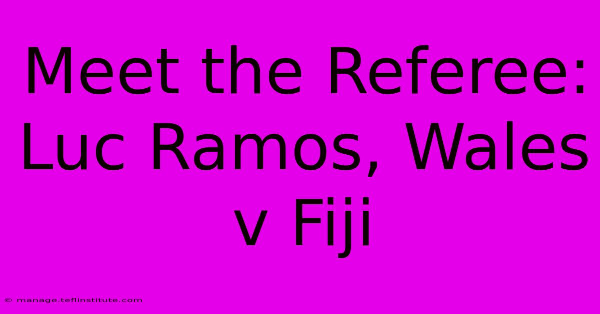 Meet The Referee: Luc Ramos, Wales V Fiji