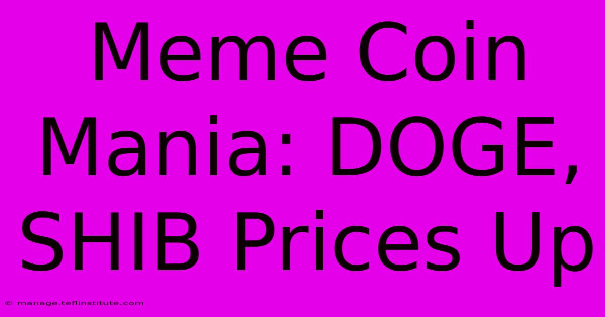 Meme Coin Mania: DOGE, SHIB Prices Up