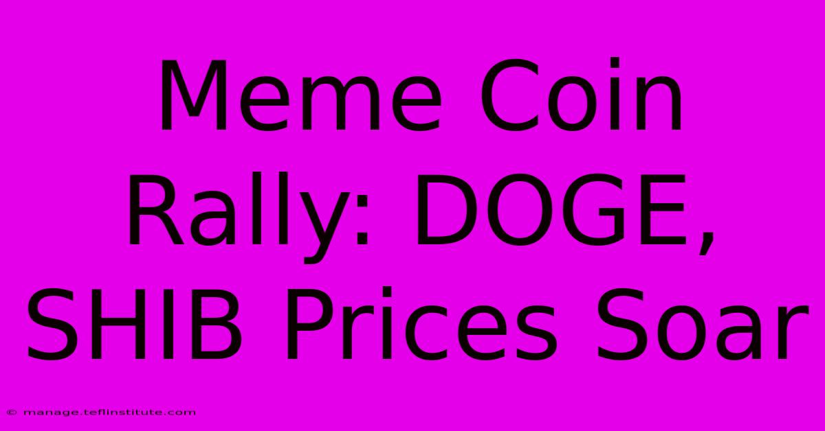 Meme Coin Rally: DOGE, SHIB Prices Soar