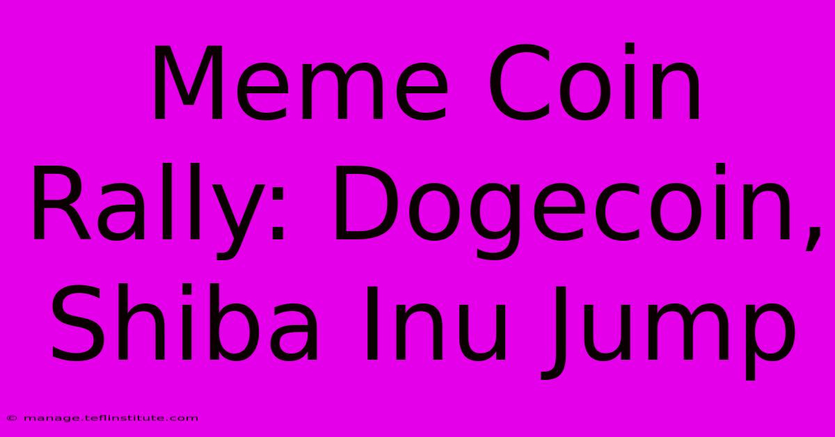 Meme Coin Rally: Dogecoin, Shiba Inu Jump