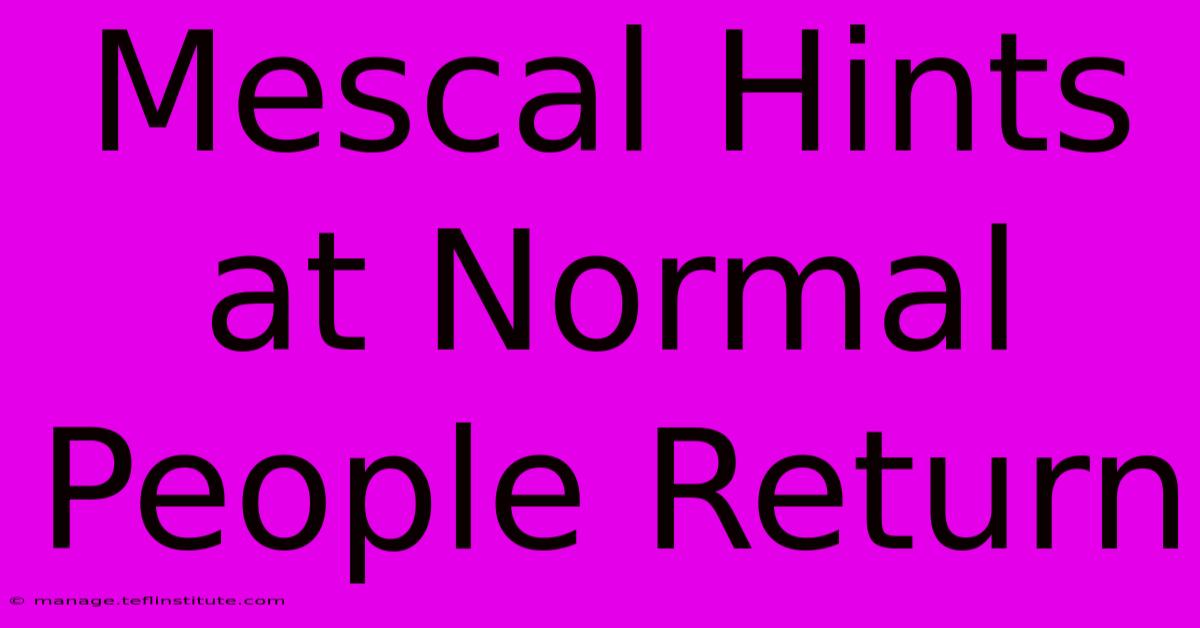 Mescal Hints At Normal People Return