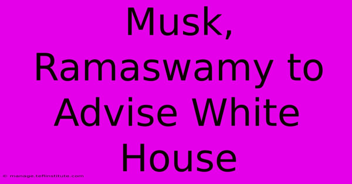 Musk, Ramaswamy To Advise White House