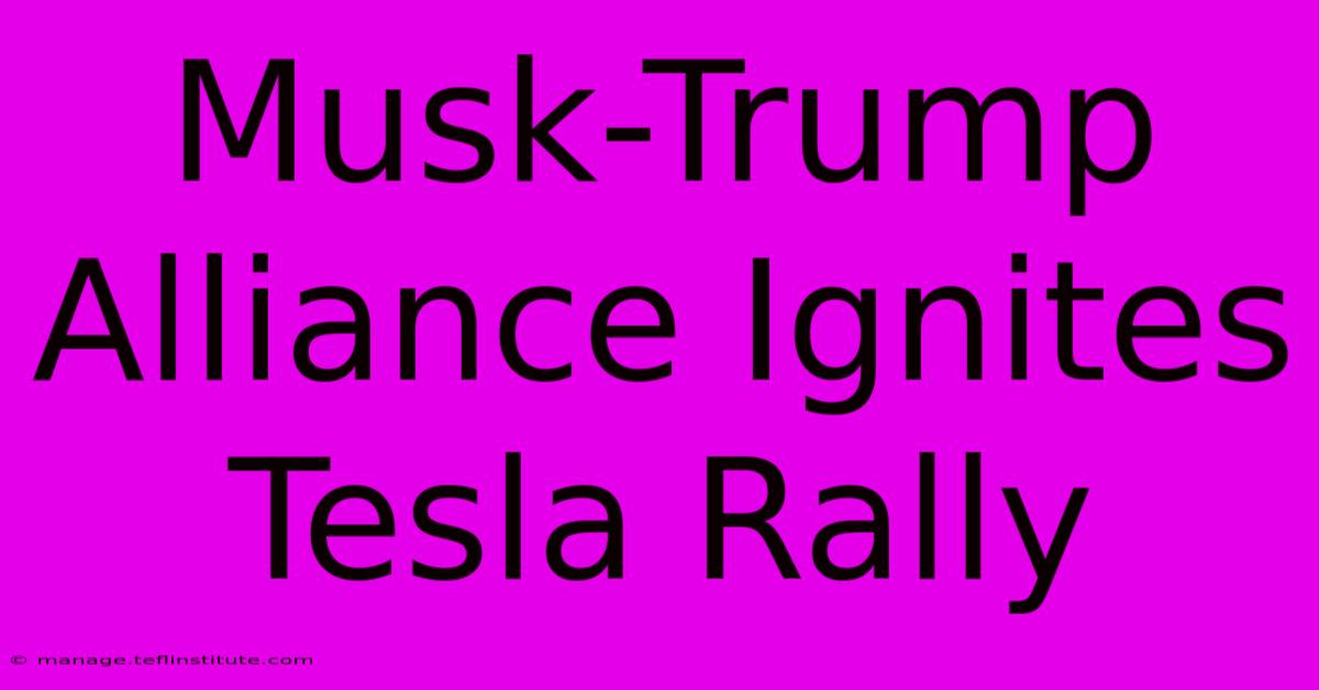 Musk-Trump Alliance Ignites Tesla Rally