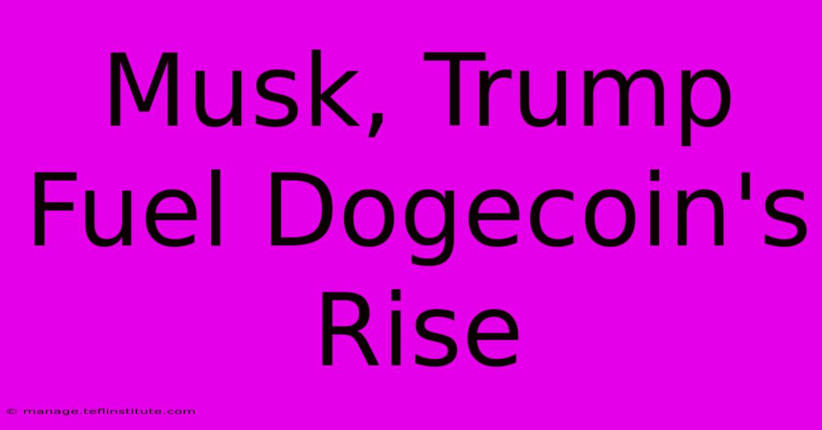 Musk, Trump Fuel Dogecoin's Rise