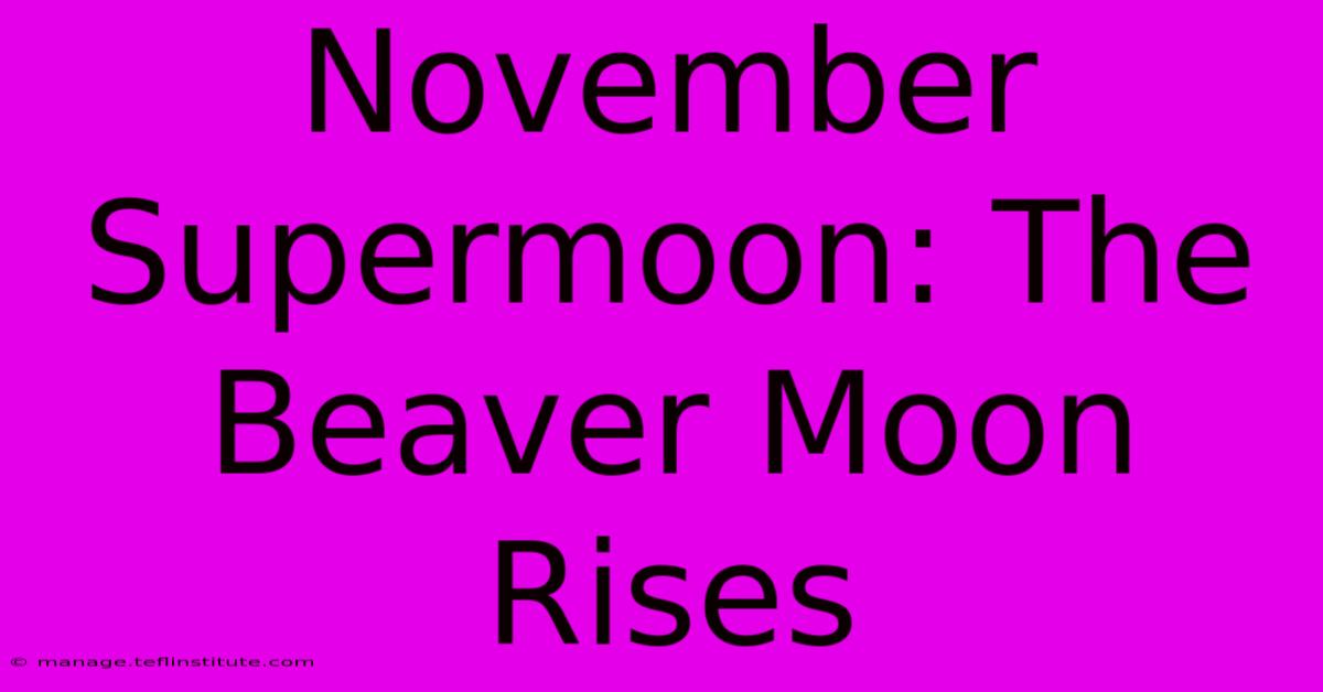 November Supermoon: The Beaver Moon Rises