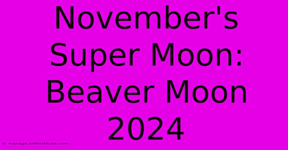 November's Super Moon: Beaver Moon 2024