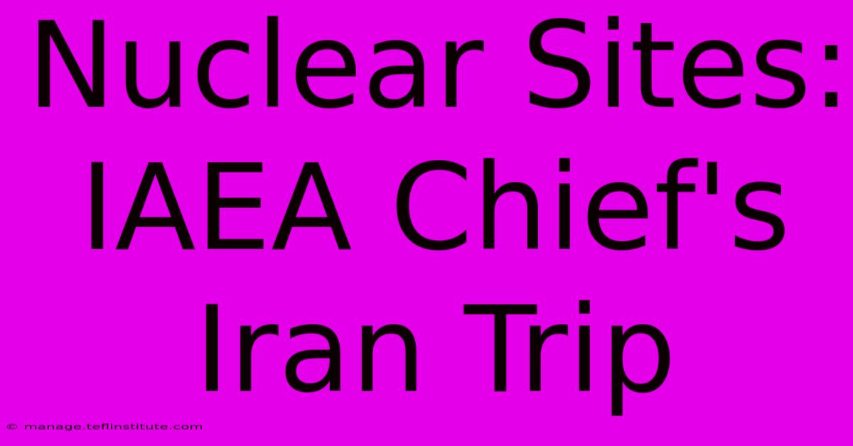 Nuclear Sites: IAEA Chief's Iran Trip