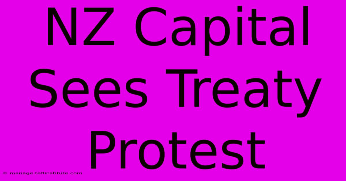 NZ Capital Sees Treaty Protest