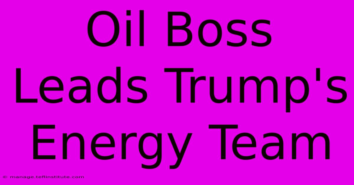 Oil Boss Leads Trump's Energy Team