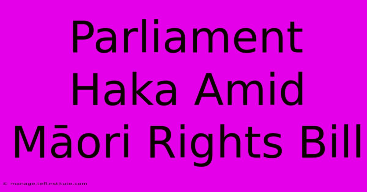 Parliament Haka Amid Māori Rights Bill