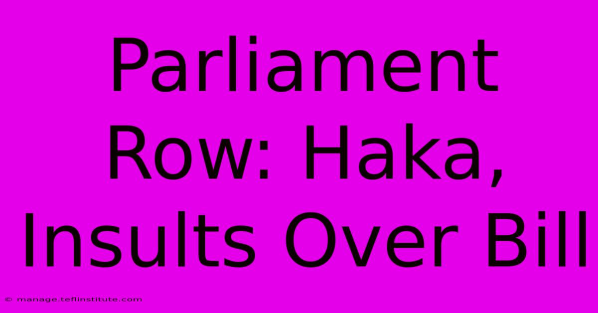 Parliament Row: Haka, Insults Over Bill