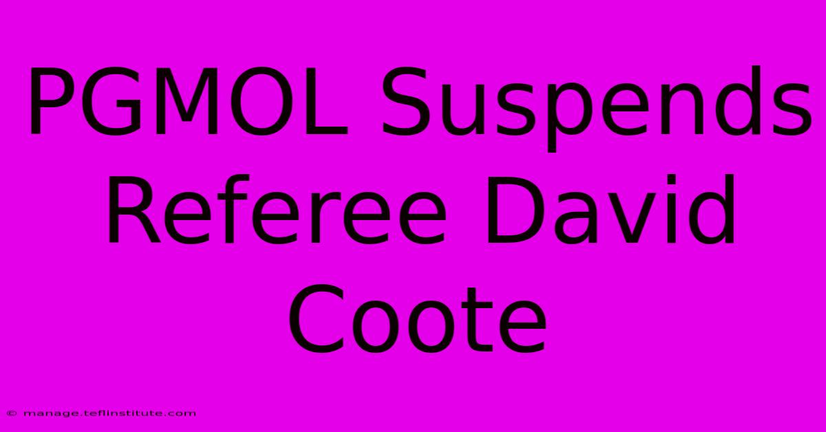 PGMOL Suspends Referee David Coote