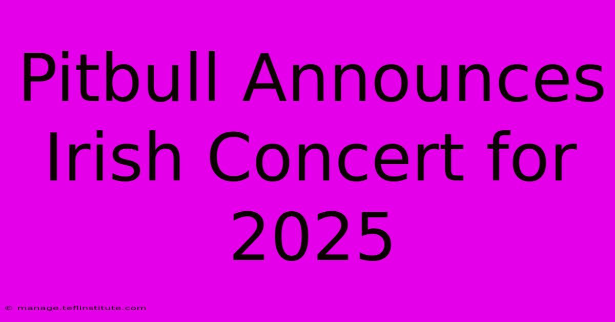 Pitbull Announces Irish Concert For 2025