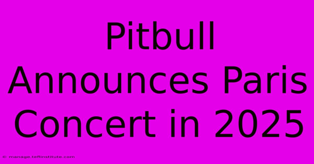 Pitbull Announces Paris Concert In 2025