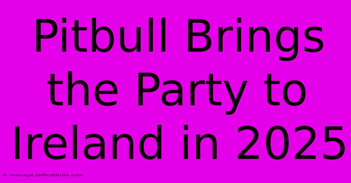 Pitbull Brings The Party To Ireland In 2025