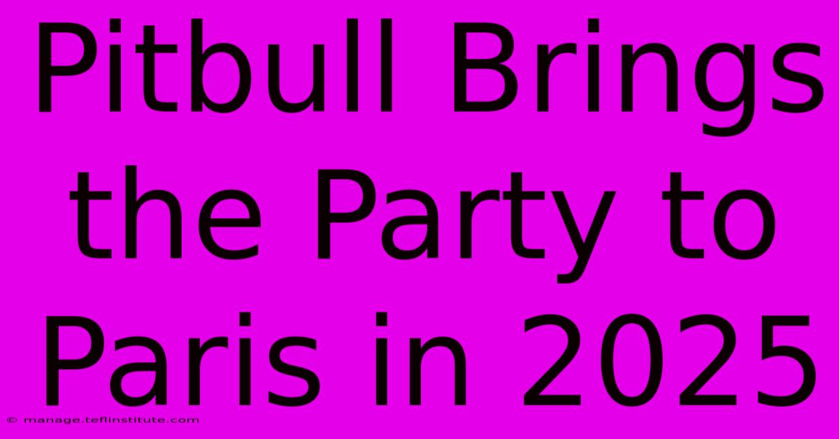 Pitbull Brings The Party To Paris In 2025 