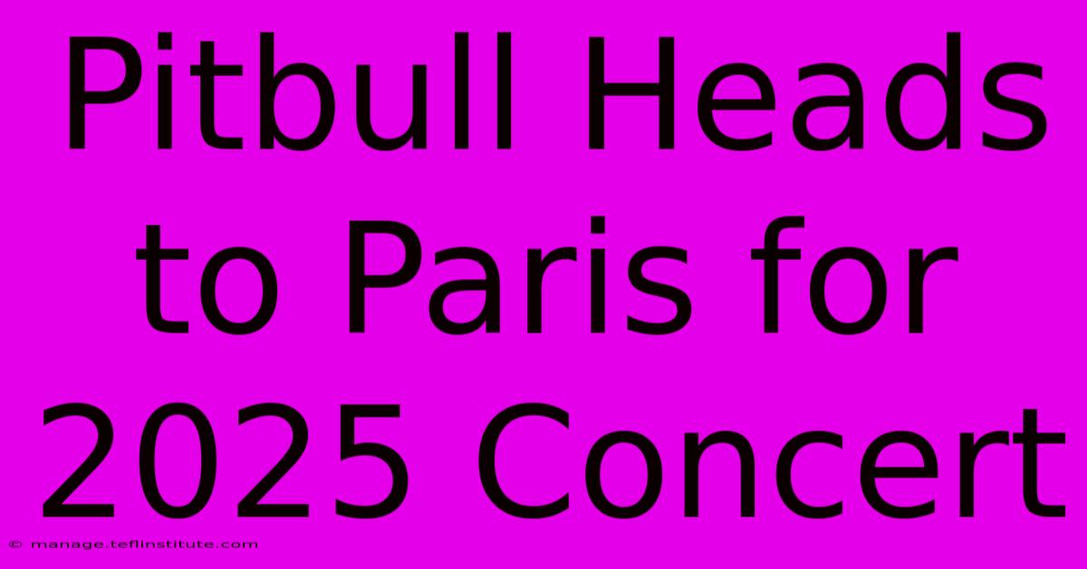 Pitbull Heads To Paris For 2025 Concert