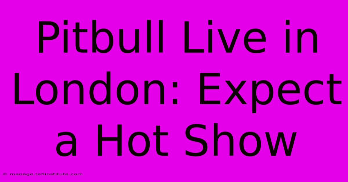 Pitbull Live In London: Expect A Hot Show