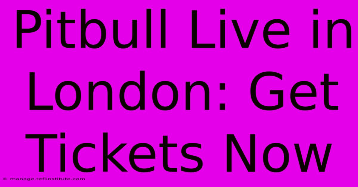 Pitbull Live In London: Get Tickets Now