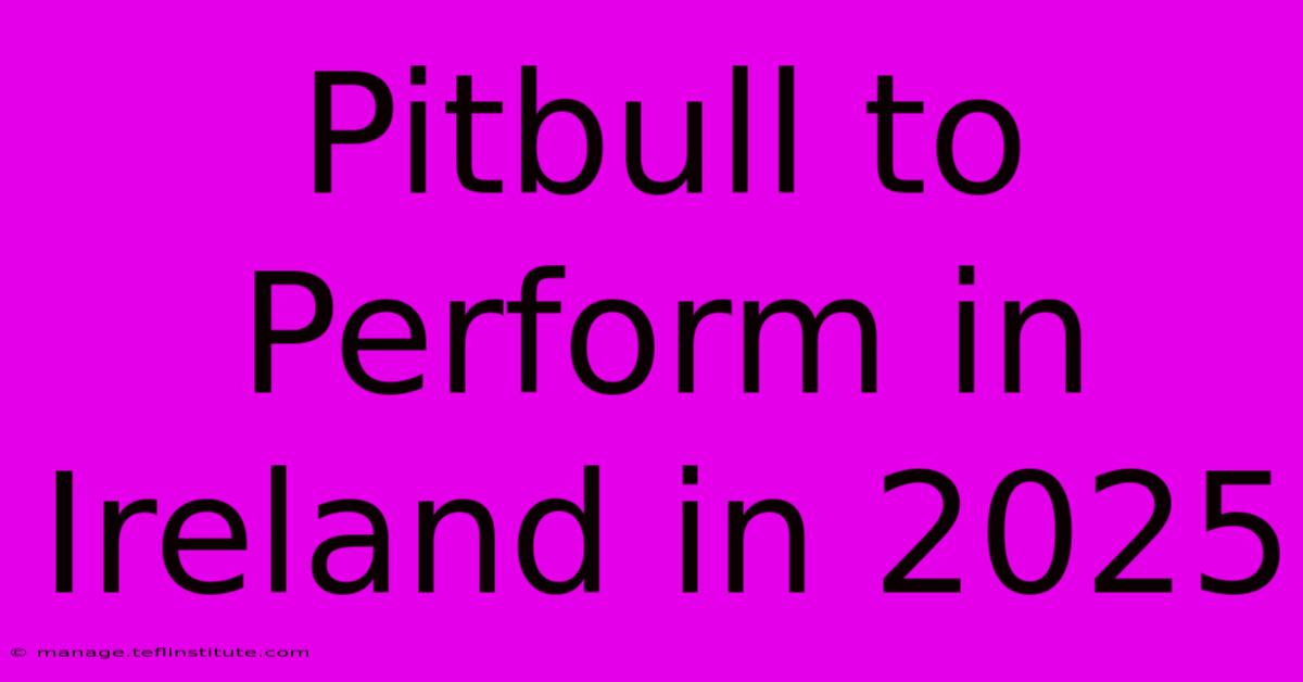 Pitbull To Perform In Ireland In 2025