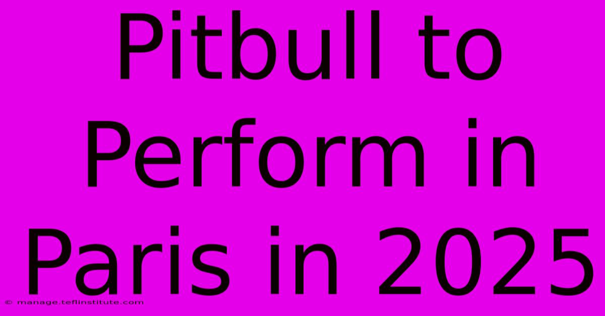 Pitbull To Perform In Paris In 2025