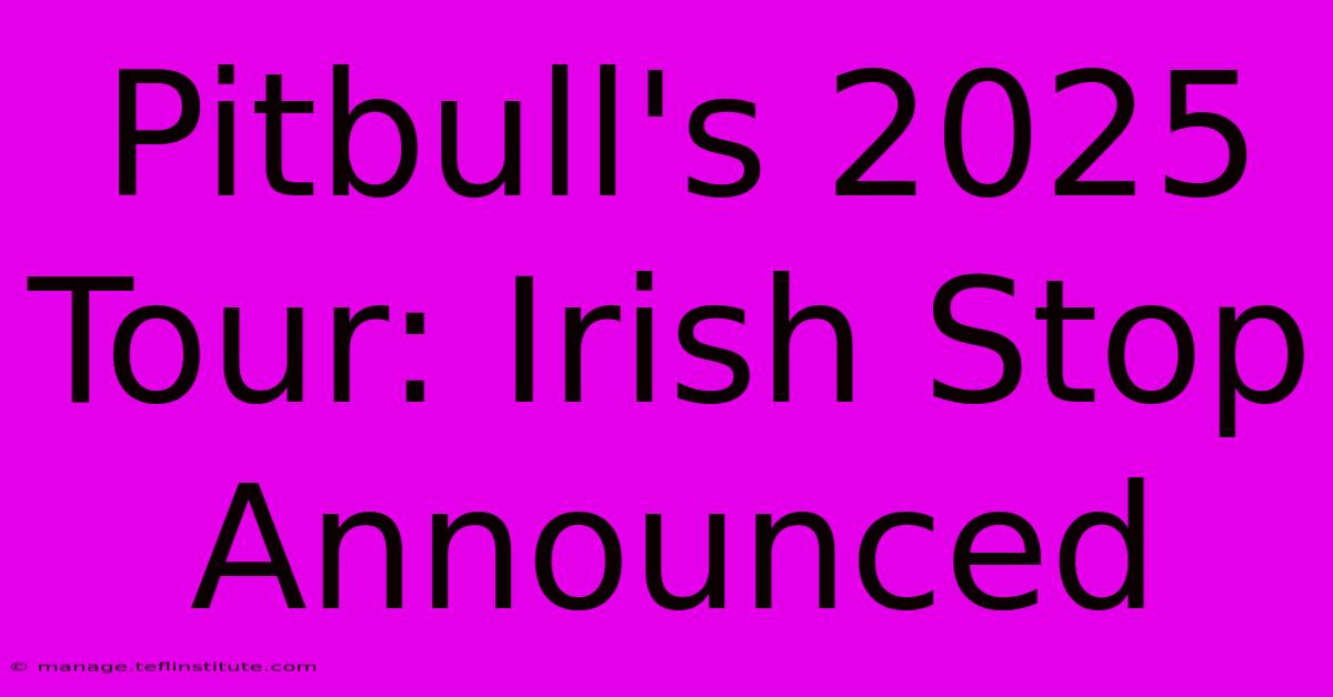 Pitbull's 2025 Tour: Irish Stop Announced