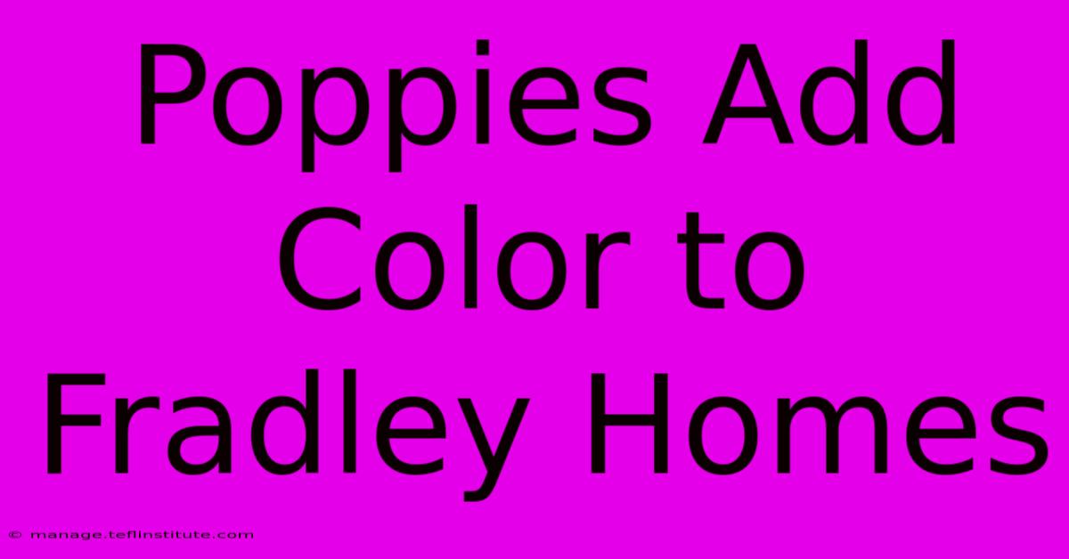 Poppies Add Color To Fradley Homes