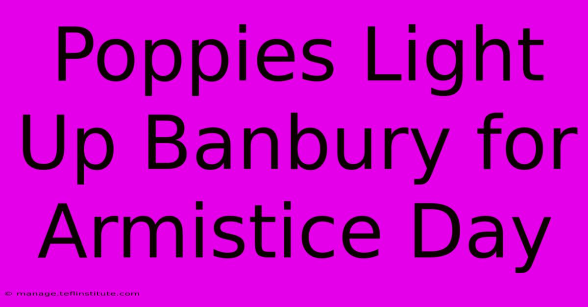 Poppies Light Up Banbury For Armistice Day