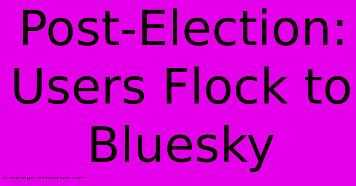 Post-Election: Users Flock To Bluesky