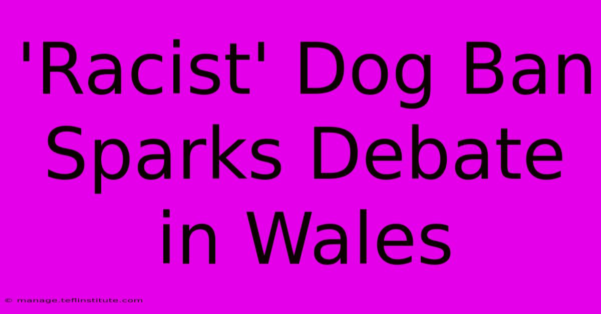 'Racist' Dog Ban Sparks Debate In Wales