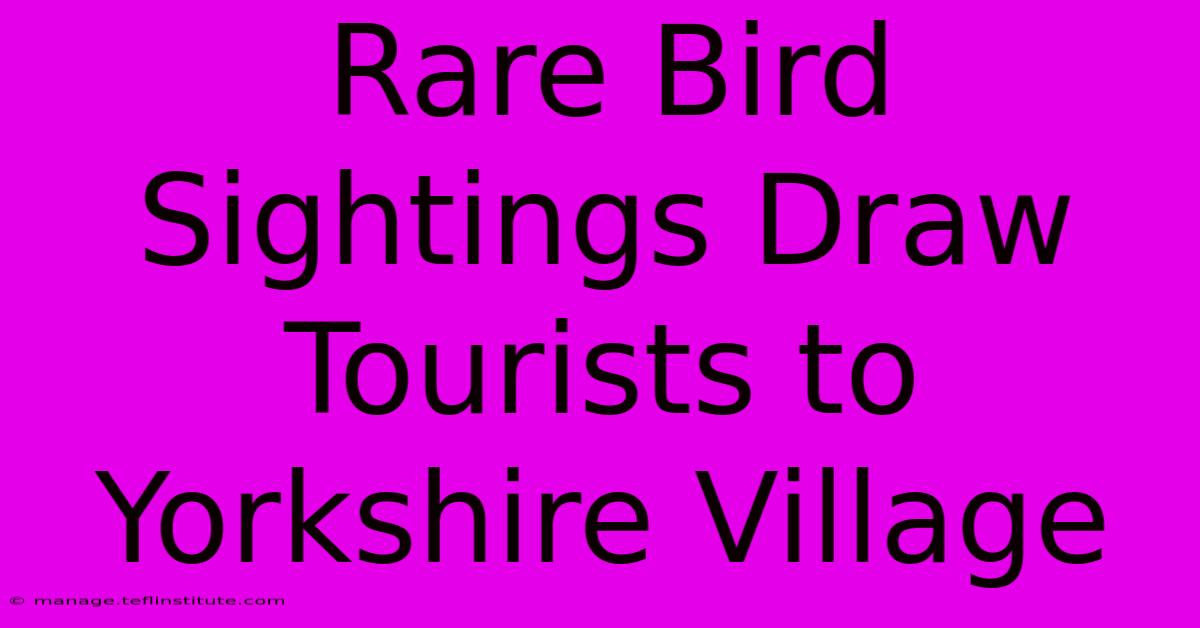 Rare Bird Sightings Draw Tourists To Yorkshire Village