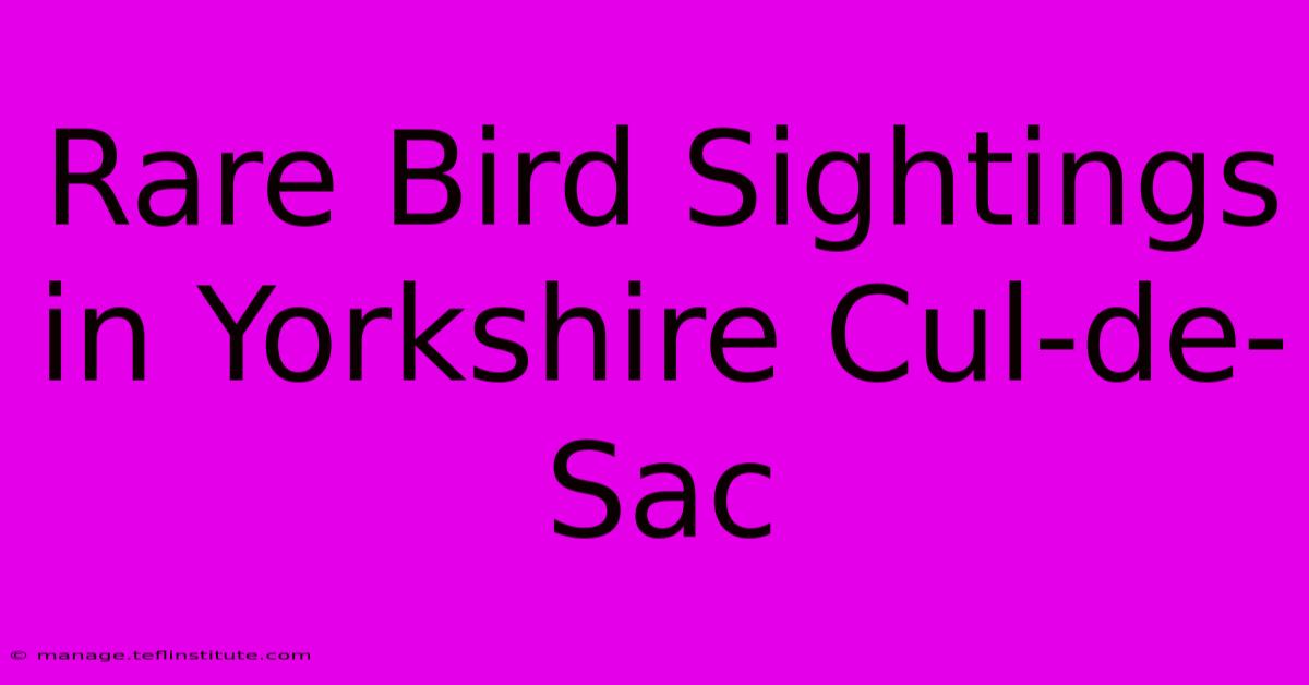 Rare Bird Sightings In Yorkshire Cul-de-Sac