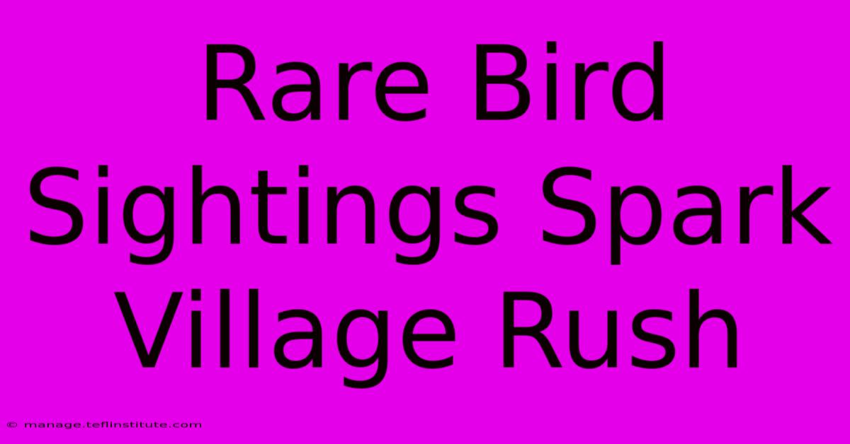 Rare Bird Sightings Spark Village Rush