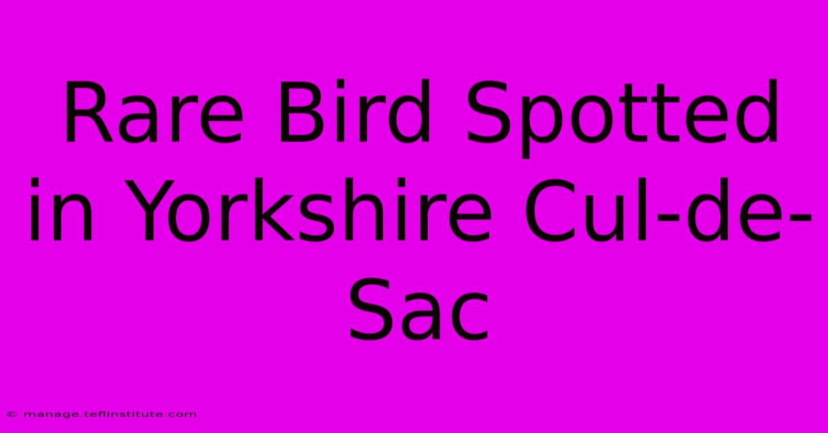 Rare Bird Spotted In Yorkshire Cul-de-Sac