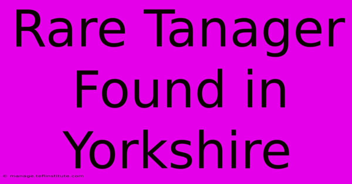 Rare Tanager Found In Yorkshire