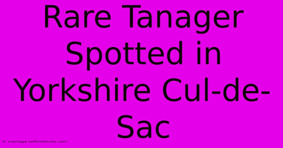 Rare Tanager Spotted In Yorkshire Cul-de-Sac