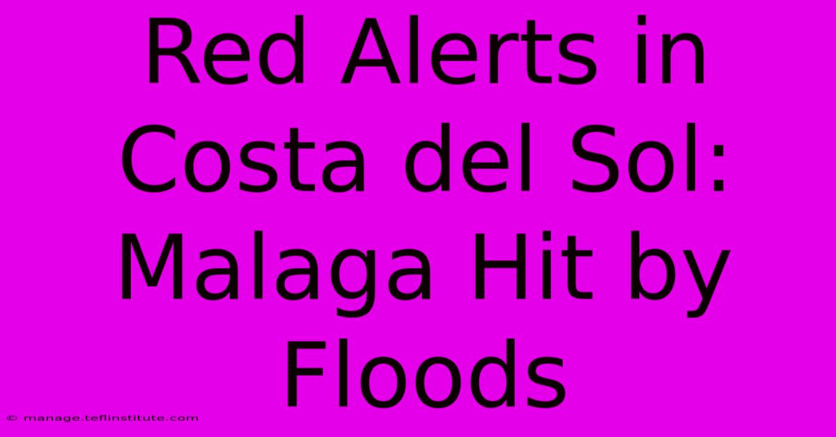 Red Alerts In Costa Del Sol: Malaga Hit By Floods 